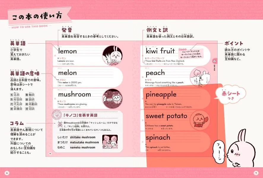 (Book - Other) Chiikawa English Wordbook For Elementary School Student