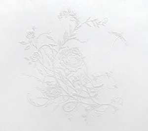 (Maxi Single) Shiroiro Kagerou by Aimer [First Run Limited Edition]